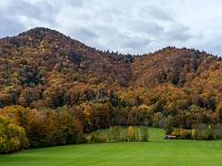 Verfärbter Mischwald an Aschaus Bergen
